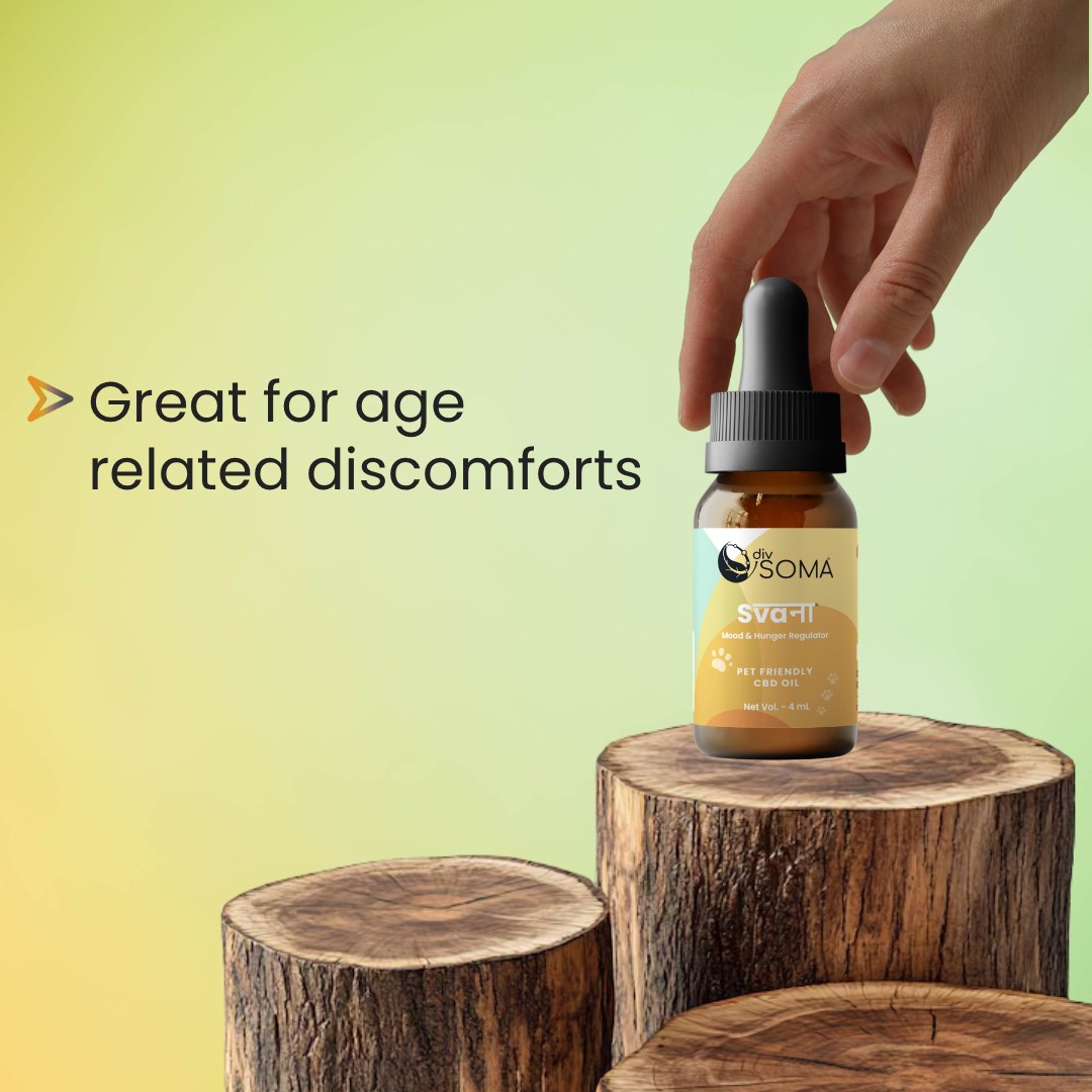 Bottle of DivSoma SVANA CBD Oil on a wooden block with a hand reaching towards it, against a gradient green background.