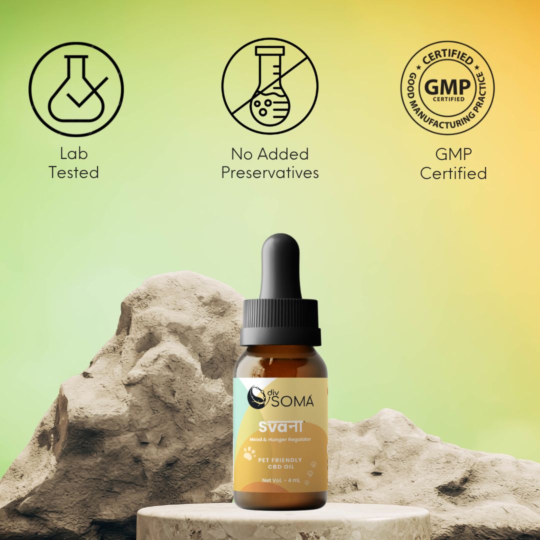 Bottle of DivSoma SVANA CBD Oil with certification icons on a natural background
