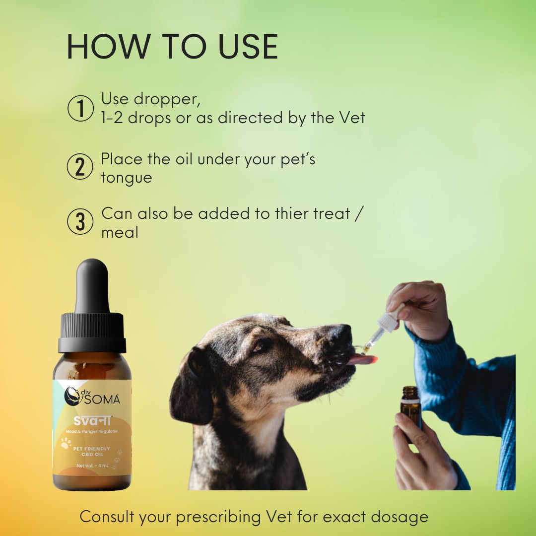 Instructions on how to use a dropper with a bottle labeled 'DivSoma' Svana for pet care, featuring a dog and a person administering the product.