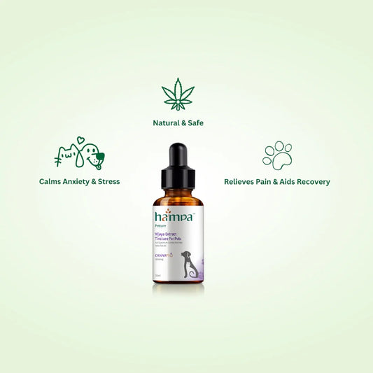 Hampa Hemp pet CBD oil bottle with icons and text on a light green background