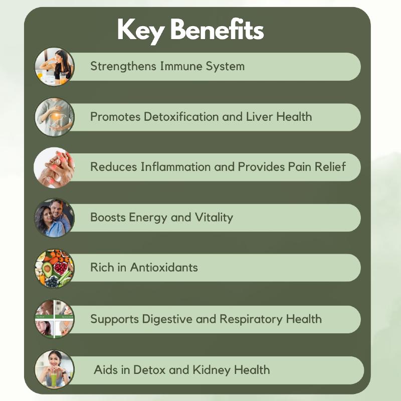 Graphic displaying the key benefits of a nuvedic cbd capsules for immunity boost , including immune support, detoxification, pain relief benefits.