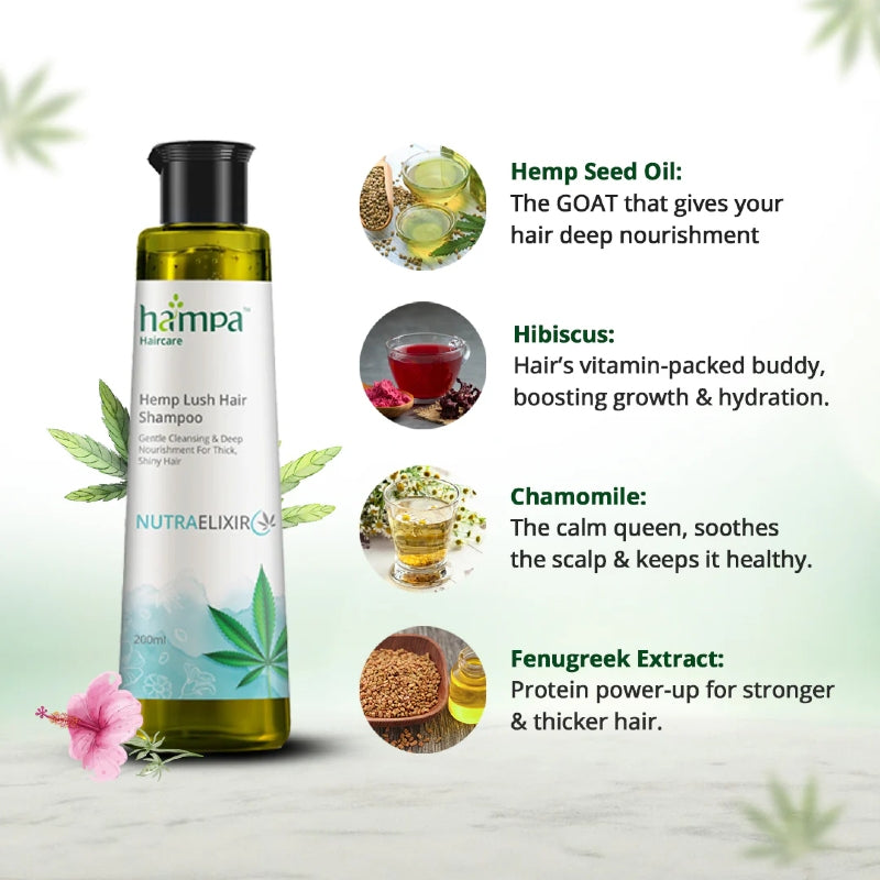 Hampa Hemp Seed Oil shampoo bottle with ingredients listed on a light green background