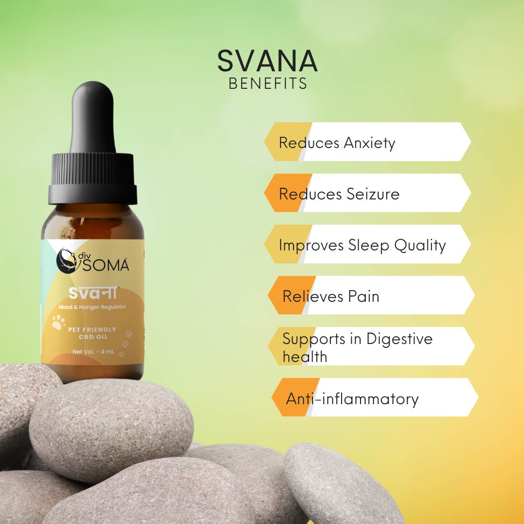 DivSoma SVANA CBD oil bottle with benefits listed on a gradient background