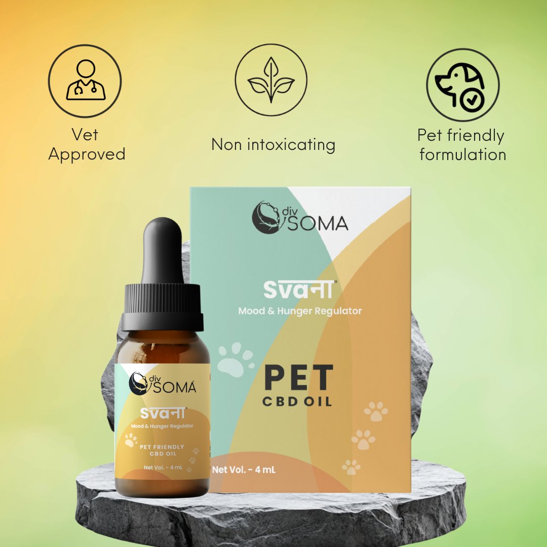 DivSoma Svana Pet CBD Oil bottle and packaging on a gradient background