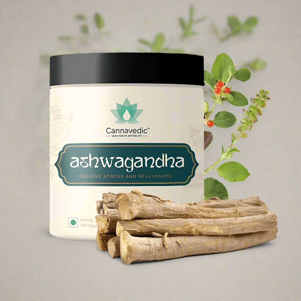 Black container of Ashwagandha capsules and root surrounded by container.