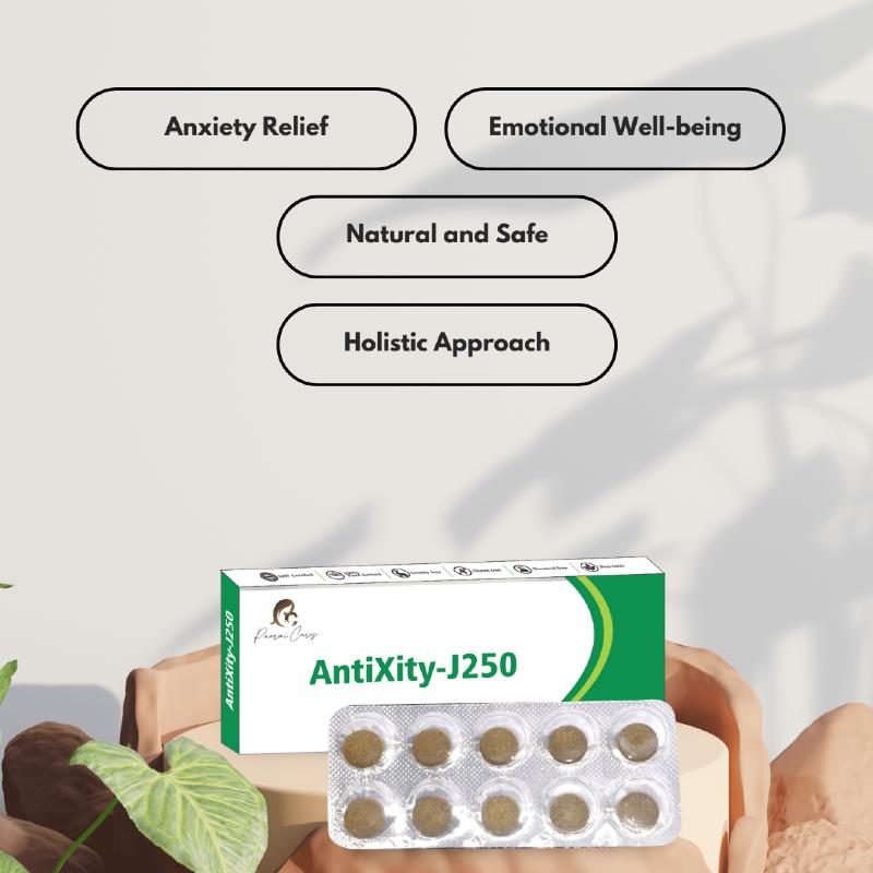 Box of AntiXity-J250 tablets and blister pack with ten tablets, surrounded by text boxes listing benefits: Anxiety Relief, Emotional Well-being, Natural and Safe, Holistic Approach.