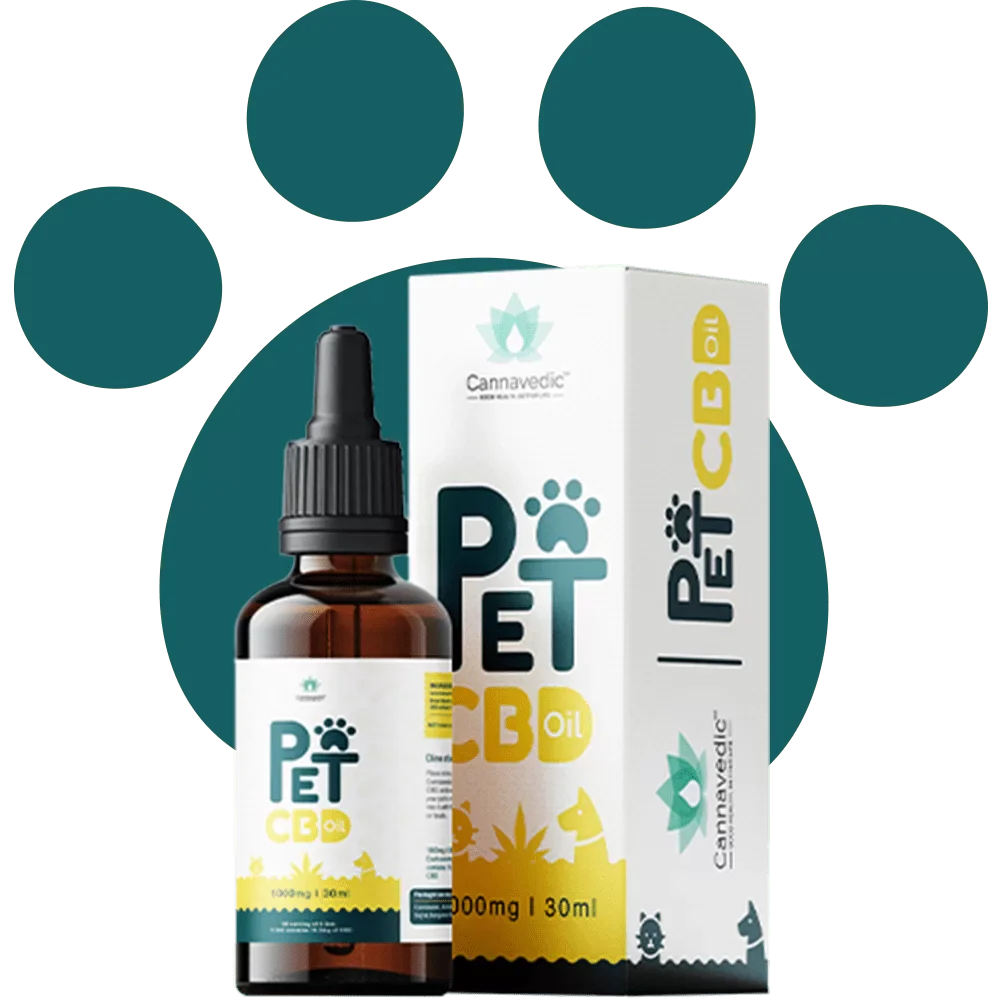 Pet CBD oil bottle and box with colorful label, indicating 1000 mg | 30 ml.
