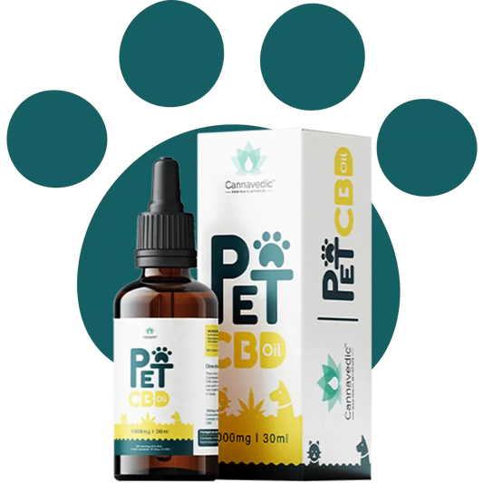 Pet CBD oil bottle and box with colorful label, indicating 1000 mg | 30 ml.