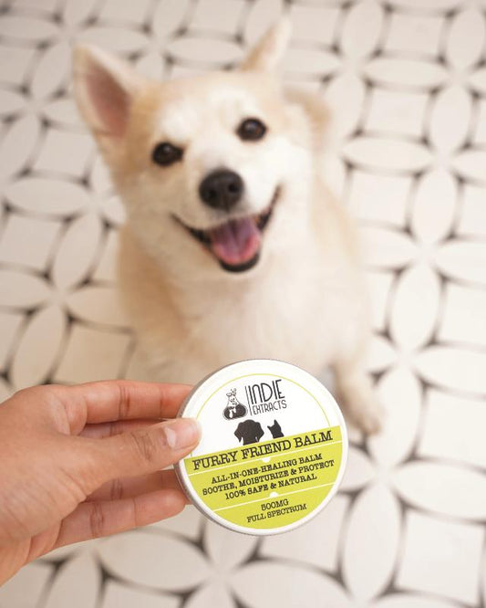 Silver container of "Furry Friend CBD Balm" from Indie Extracts with label text and pet silhouettes.