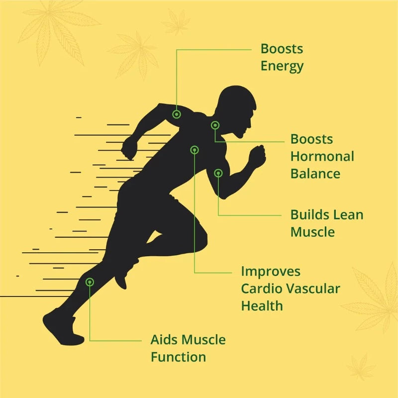 Hampa Wellness Hemp Hearts: A resealable pouch of Hampa Wellness Hemp Hearts, with a clear window to showcase the product and a zip-lock closure, offered at CBD Shop of India online store.