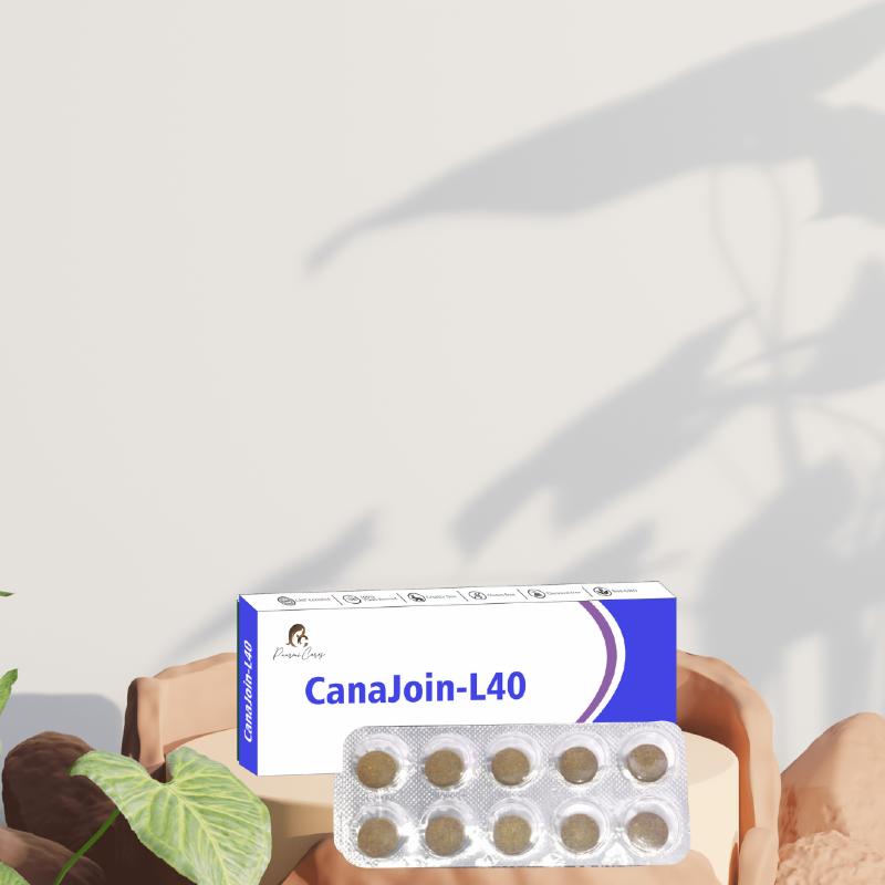 CanaJoin-L40 tablets box with blister pack in front of a light wall with plant shadows.