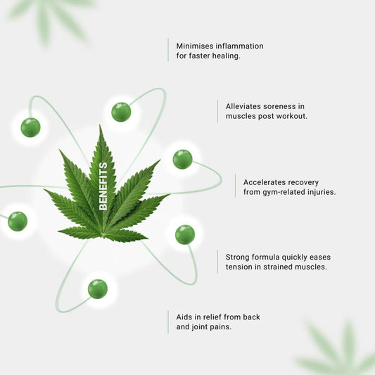 Image of a cannabis leaf with text bubbles highlighting its benefits in muscle and joint recovery.
