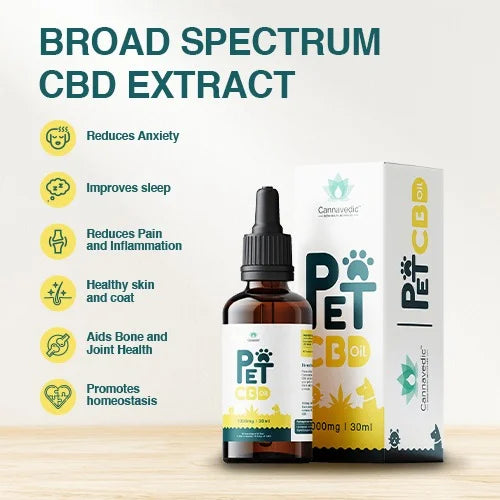 Cannavedic Pet CBD oil bottle and box with benefits listed on the left.