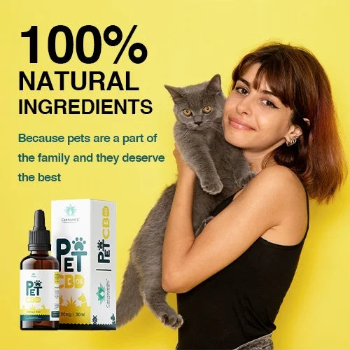 Woman holding a gray cat with a Cannavedic Pet CBD product display on a yellow background.