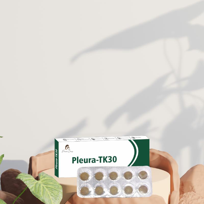 Box of Pleura-TK30 medication from Paarmi Cares with a blister pack of ten tablets in front.