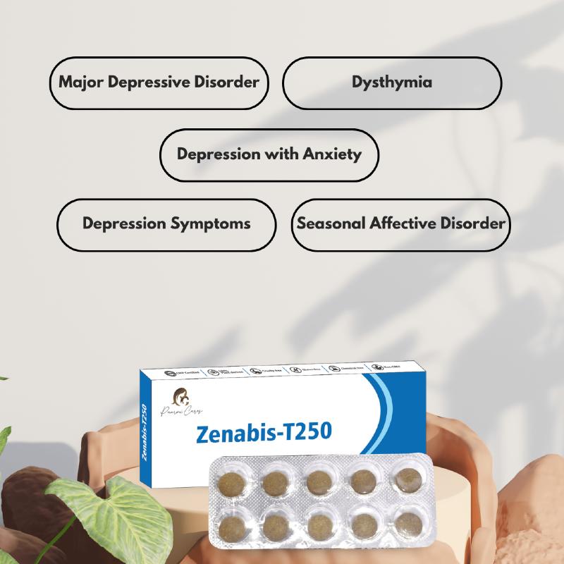 Zenabis-T250 medication package with blister pack and descriptive labels of depressive disorders above it.
