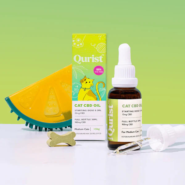 CBD oil bottle for cats with packaging, a toy, and a treat.