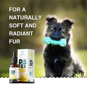 Puppy holding a blue bone toy, next to Cannavedic Pet CBD oil and box, with text "For a naturally soft and radiant fur.