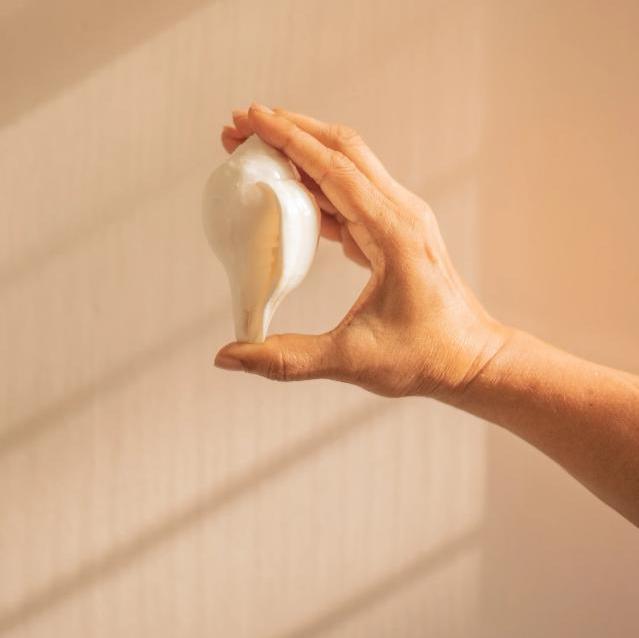 Hand holding a white, curved, bulb-like shell against a softly lit background.