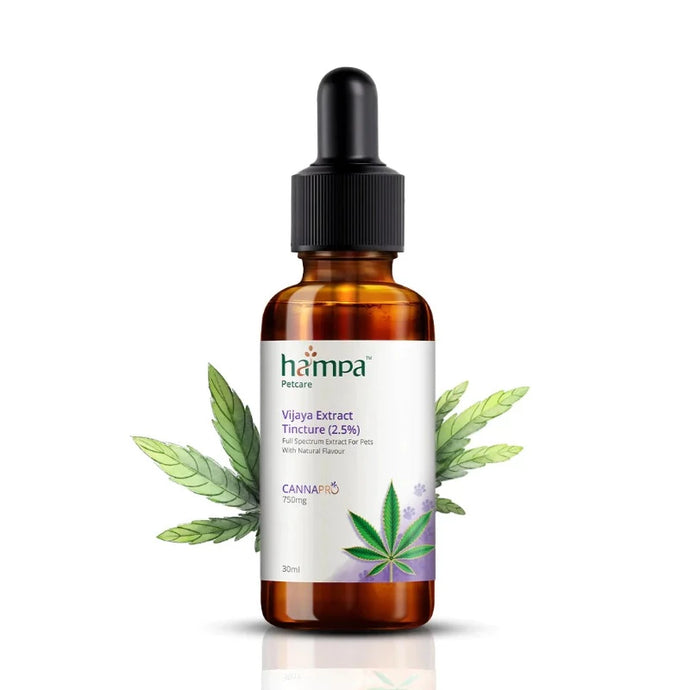 Hampa Wellness Hemp Vijaya Extract Tincture (2.5%) for Pets: A compact tincture bottle for pets from Hampa Wellness, equipped with a dropper for accurate dosing, available at CBD Shop of India online store.