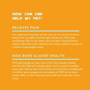benefits-of-qurist-pet-cbd-oil-large-pets-listed-for-sale-at-cbd-shop-of-india
