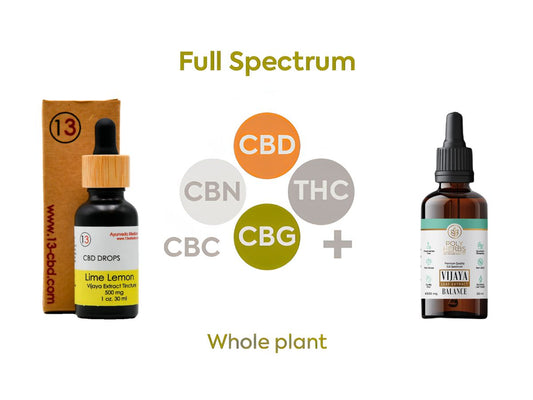 Image of CBD tincture bottles with "Full Spectrum" and "Whole plant" text, showing different cannabinoids.