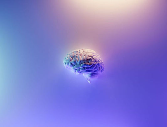 CBD Oil for Epilepsy and Seizures : The Natural Way - CBD Shop of India™
