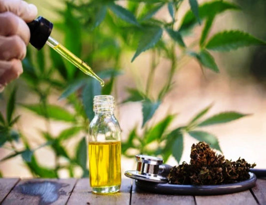 Where to buy CBD oil in India? - CBD Shop of India™