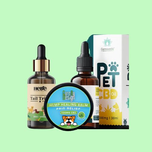 CBD for Pets