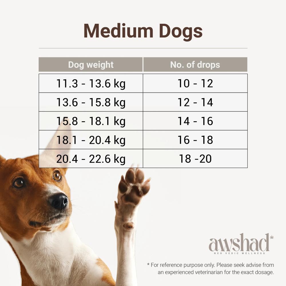 Table of CBD Oil dosage by weight for medium dogs with a dog raising its paw, and a reminder to consult a vet.