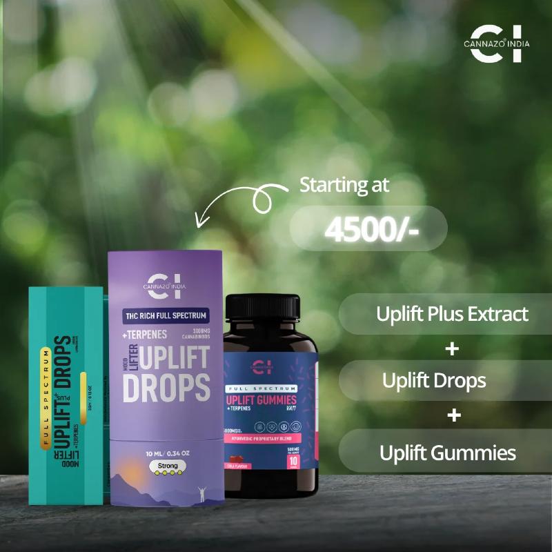 Cannabis product packaging with 'Uplift Drops' and 'Uplift Gummies' on a blurred green background.