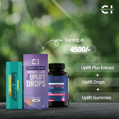 Cannabis product packaging with 'Uplift Drops' and 'Uplift Gummies' on a blurred green background.