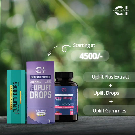 Cannabis product packaging with 'Uplift Drops' and 'Uplift Gummies' on a blurred green background.