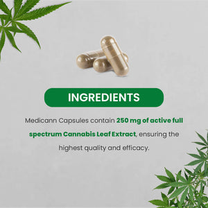 Visual representation of MediCann marijuana leaf extract capsule components.