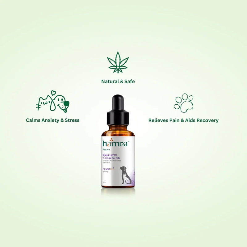 Hampa Hemp pet CBD oil bottle with icons and text on a light green background