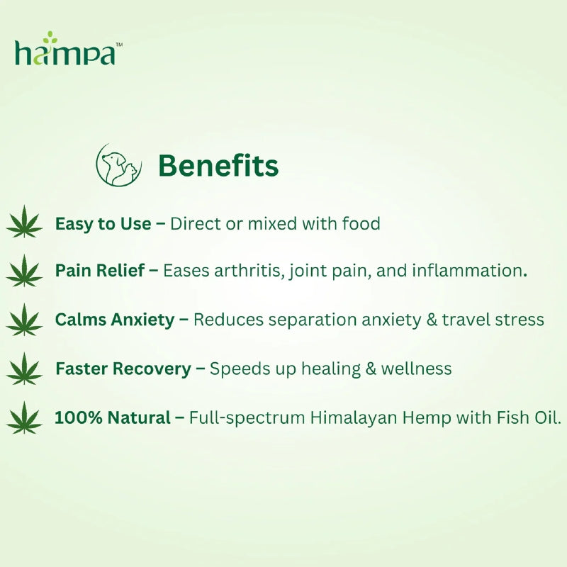 Hampa product benefits listed on a green background