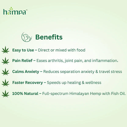 Hampa product benefits listed on a green background