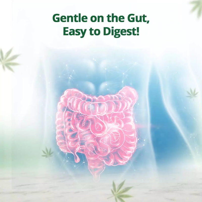 Illustration of a gut with text 'Gentle on the Gut, Easy to Digest!' on a light background with cannabis leaves.
