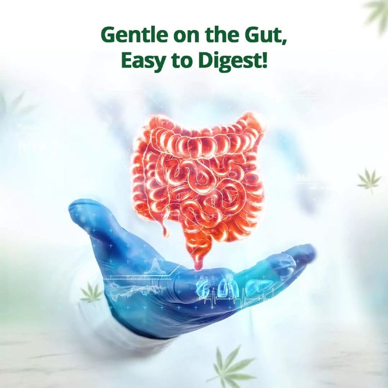 Hand holding a digital representation of intestines with text 'Gentle on the Gut, Easy to Digest!' on a light background.