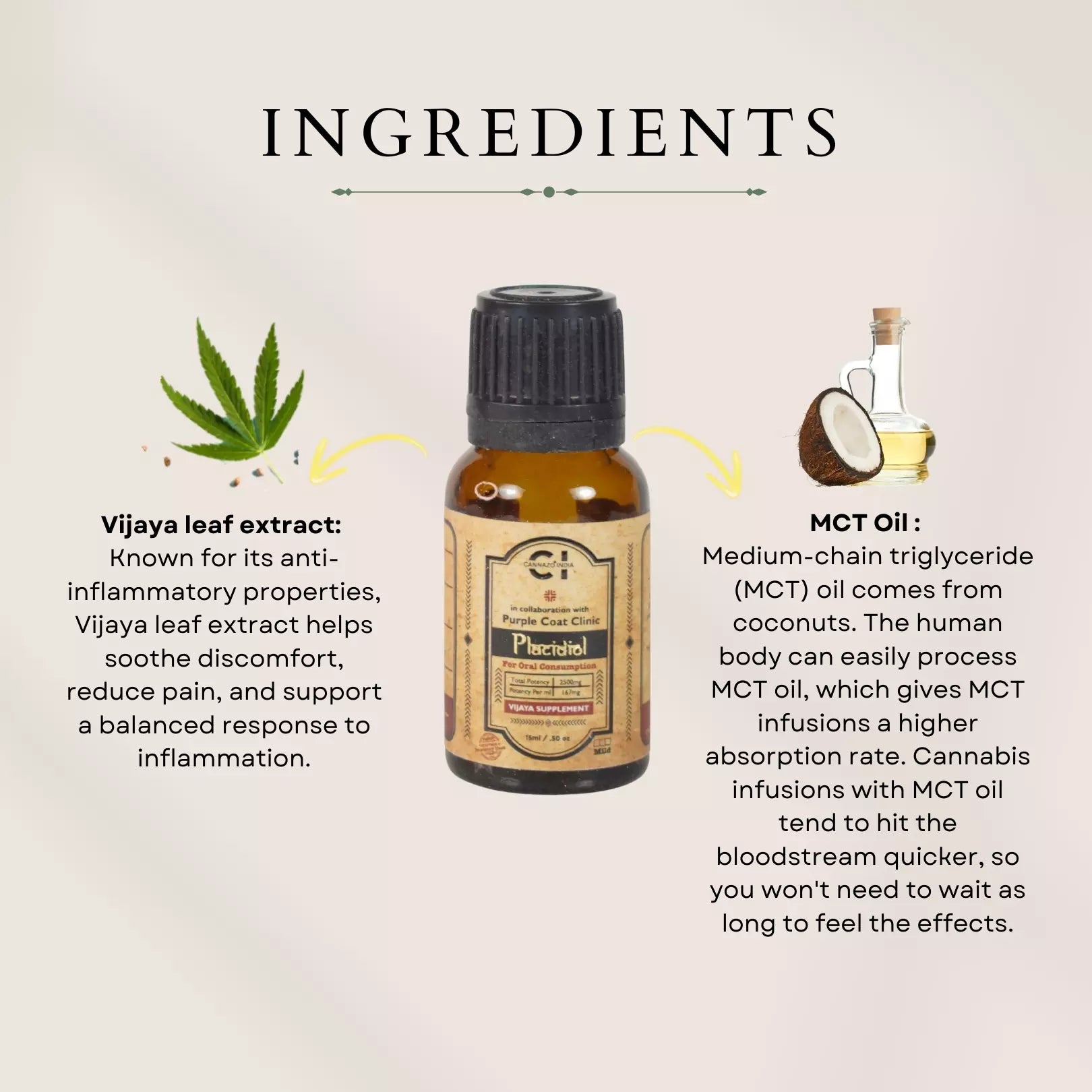 Image of a hemp leaf, a bottle of cannazo cbd oil, and a coconut with oil, labeled with benefits of Vijaya leaf extract and MCT oil.