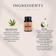 Load image into Gallery viewer, Image of a bottle of cananzo full spectrum CBD capsules flanked by Vijaya leaf and coconut oil, with descriptions of their health benefits.
