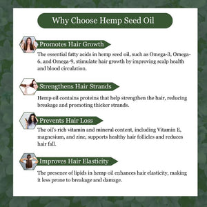 Infographic about the benefits of hemp seed oil for hair, including growth promotion, strand strengthening, hair loss prevention.

