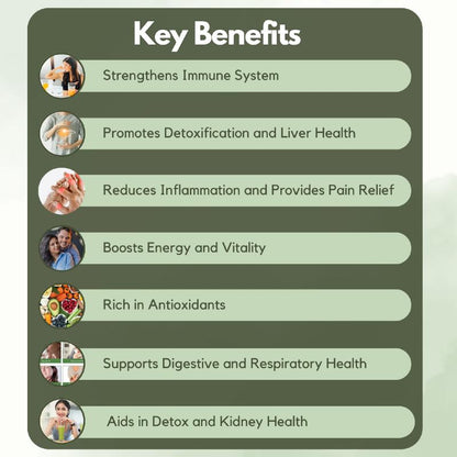 Graphic displaying the key benefits of a nuvedic cbd capsules for immunity boost , including immune support, detoxification, pain relief benefits.