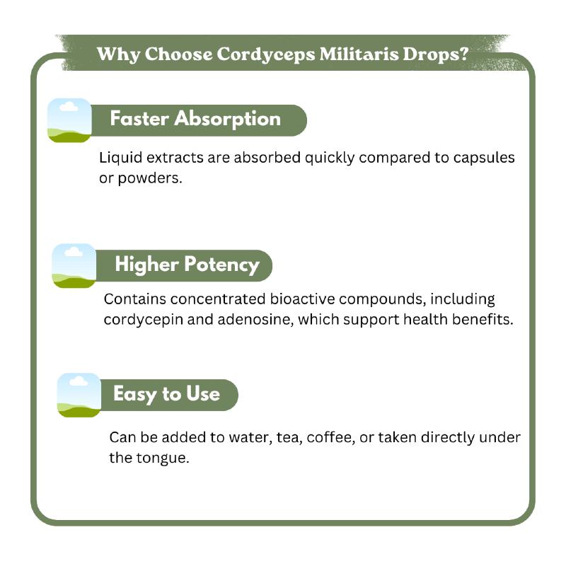 Informational graphic on the benefits of Cordyceps Militaris Drops.

