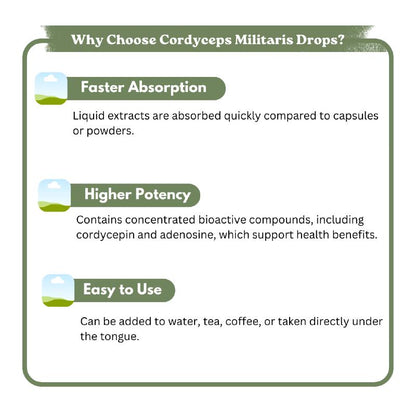 Informational graphic on the benefits of Cordyceps Militaris Drops.


