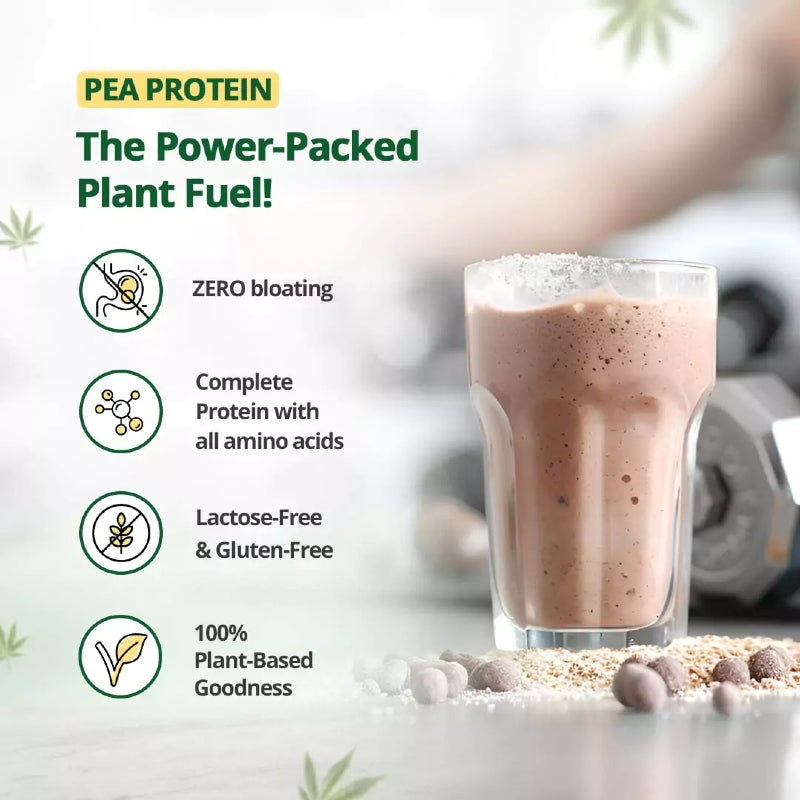 Glass of pea protein shake with health benefits listed on a white background