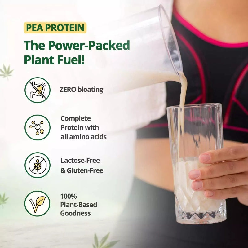 Person pouring pea protein into a glass with health benefits listed on a white background