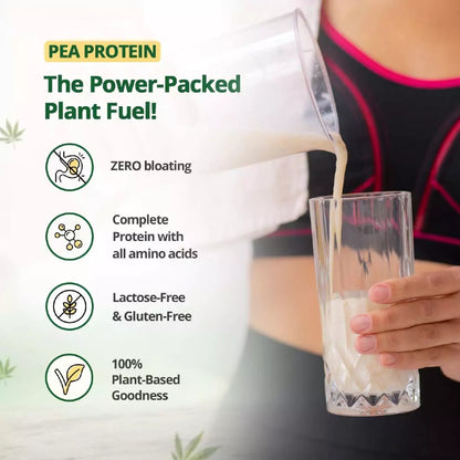 Person pouring pea protein into a glass with health benefits listed on a white background