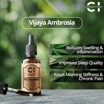 Bottle of Vijaya Ambrosia CBD Oil with cannabis leaves and text on a blurred green background