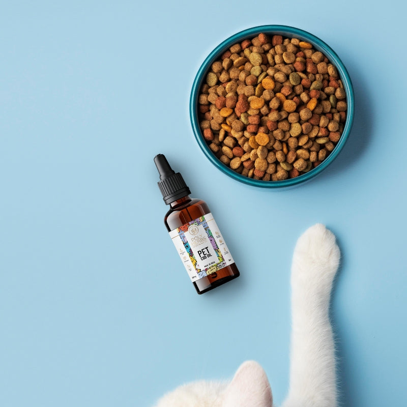 Bottle of Pet CBD oil next to a bowl of cat food on a blue background